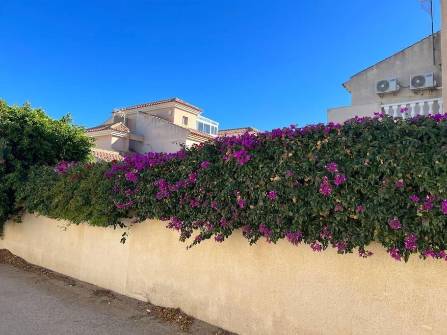 Club Salino 18 Lägenhet Torrevieja Exteriör bild