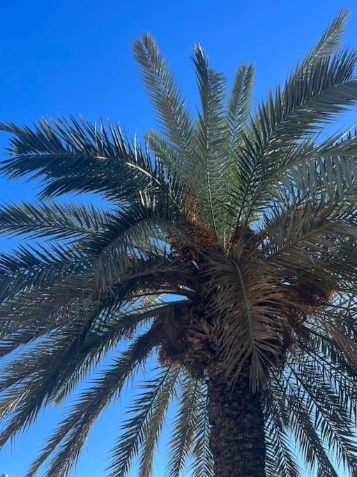 Club Salino 18 Lägenhet Torrevieja Exteriör bild