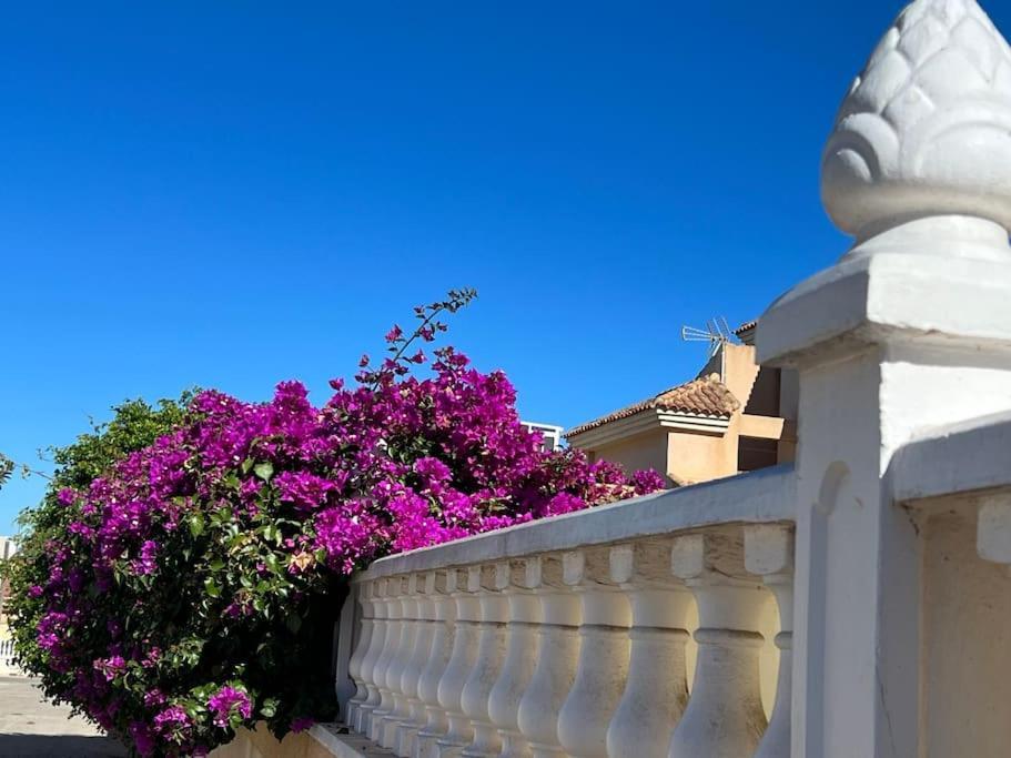 Club Salino 18 Lägenhet Torrevieja Exteriör bild